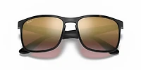 RB4264 Polarized+ Lenses