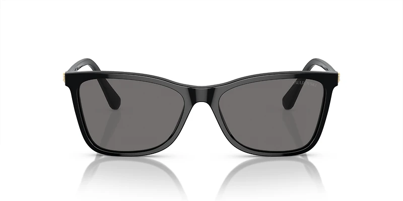 SK6004