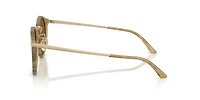 AR8250