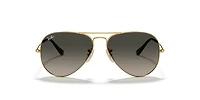 Aviator Havana Collection