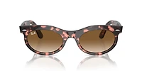 Wayfarer Oval