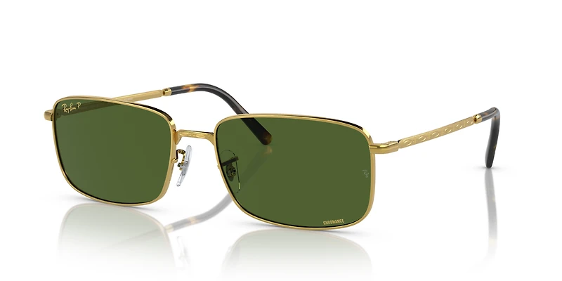 RB3717 Polarized+ Lenses