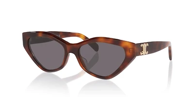 Celine Triomphe CL40323U