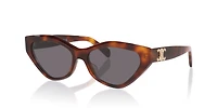 Celine Triomphe CL40323U