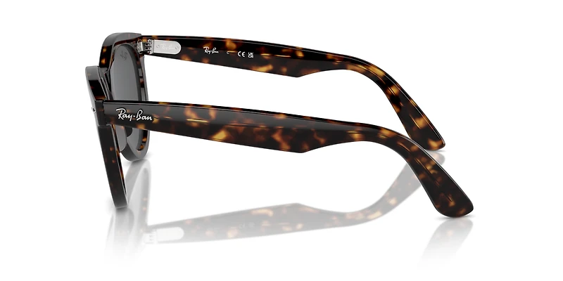 Wayfarer Way