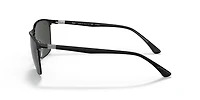 RB3686 Polarized+ Lenses
