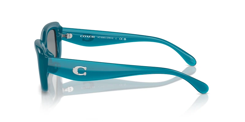 HC8390U CR610