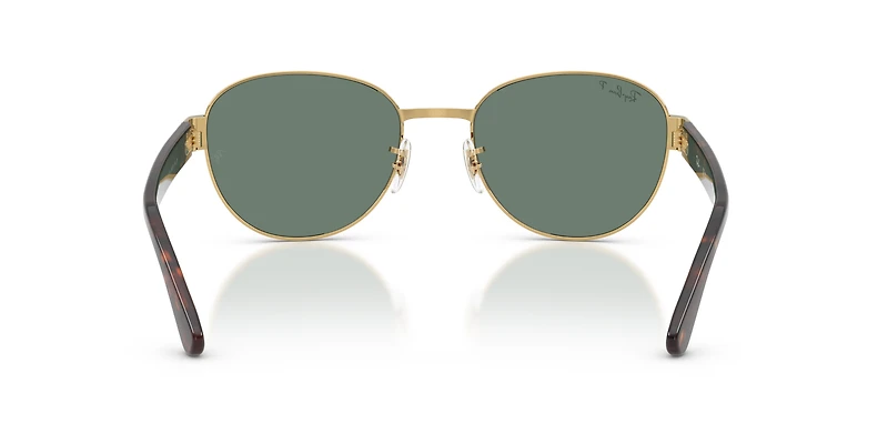 RB3766 Polarized+ Lenses