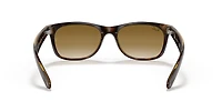 New Wayfarer Classic