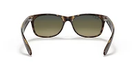 New Wayfarer Classic