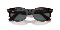 Wayfarer Oval