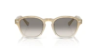 BC4006S