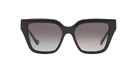 GG1023S