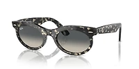 Wayfarer Oval