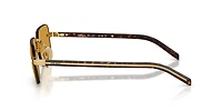 PR D55S