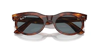 Wayfarer Oval