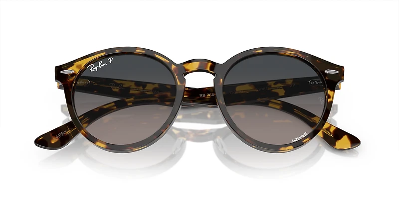 Larry Polarized+ Lenses