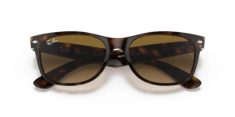 New Wayfarer Classic