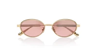 Diorcannage CD40209U