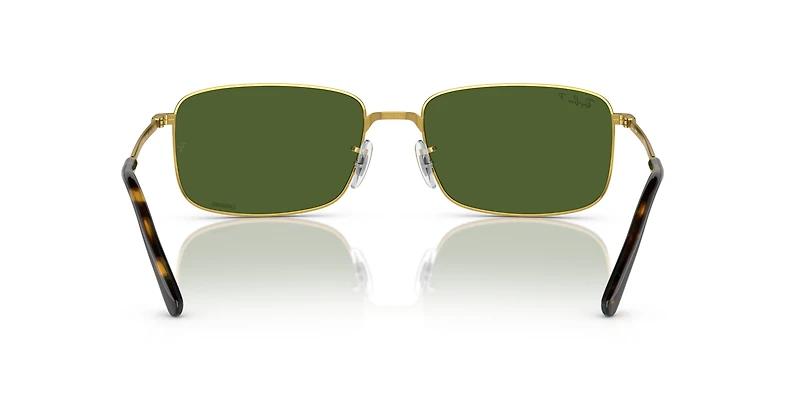 RB3717 Polarized+ Lenses