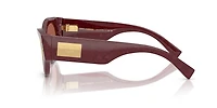 DG4480