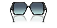 TF4206U