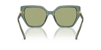 SK6016