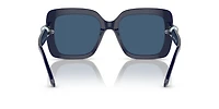 SK6001