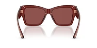 DG4493