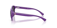 PP9509U