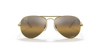Aviator Polarized+ Lenses