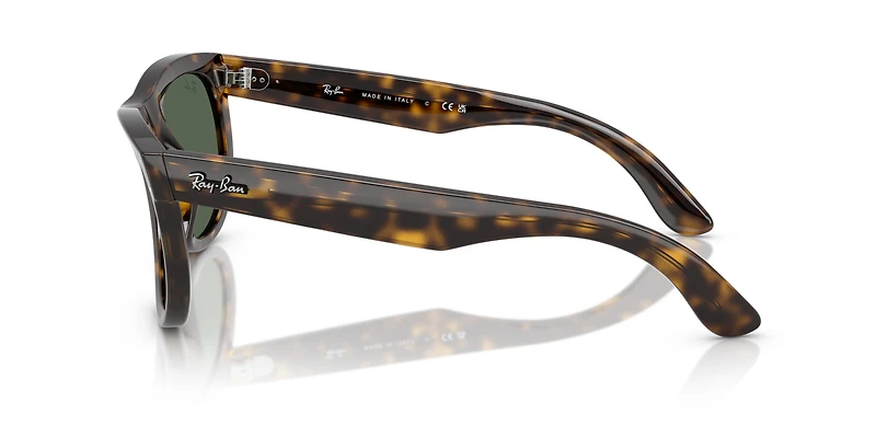 Wayfarer Reverse