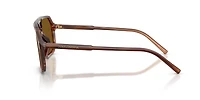 DG4541