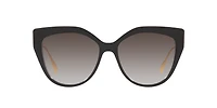 FE40011U