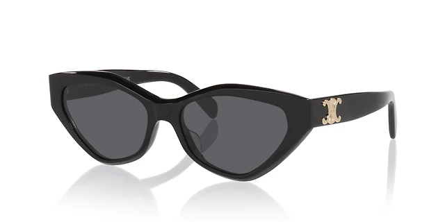 Celine Triomphe CL40323U