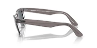 Original Wayfarer Classic