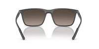 RB4385 Polarized+ Lenses