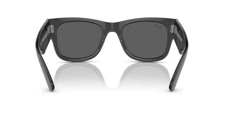 Mega Wayfarer