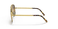 New Aviator Polarized+ Lenses