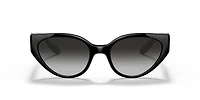 DG6146