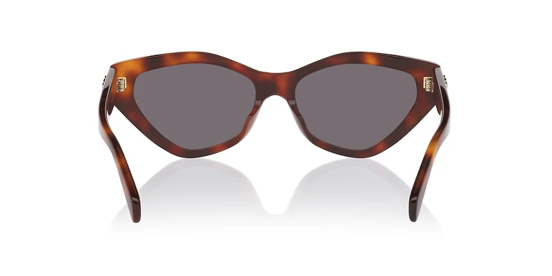 Celine Triomphe CL40323U