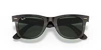 Original Wayfarer Horn