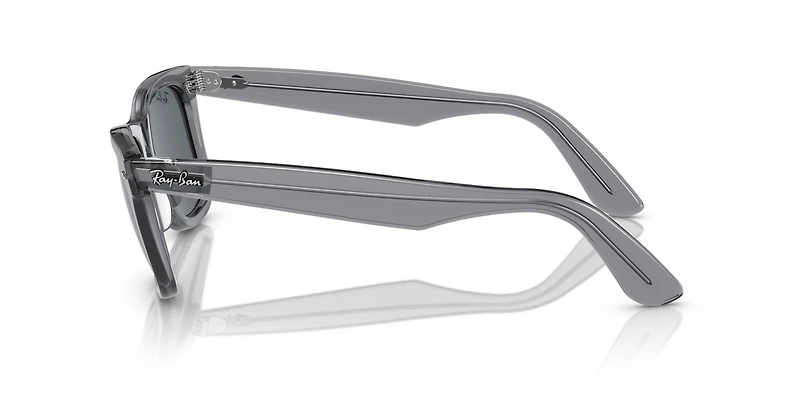 Original Wayfarer Classic
