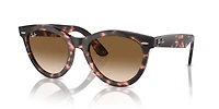 Wayfarer Way
