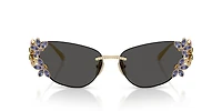 DG2334B