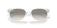 New Wayfarer Classic