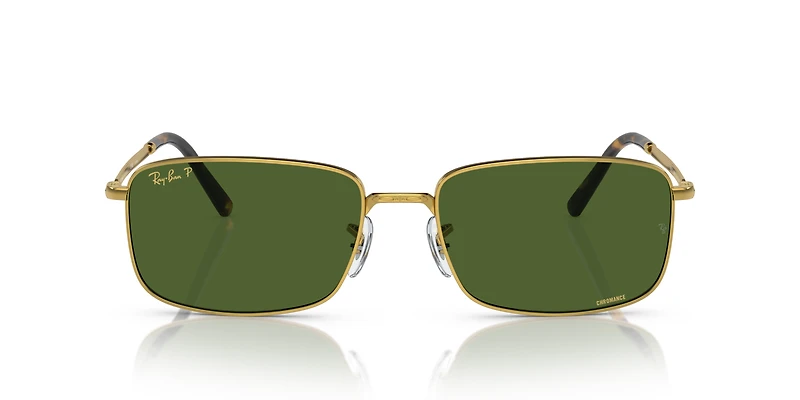 RB3717 Polarized+ Lenses