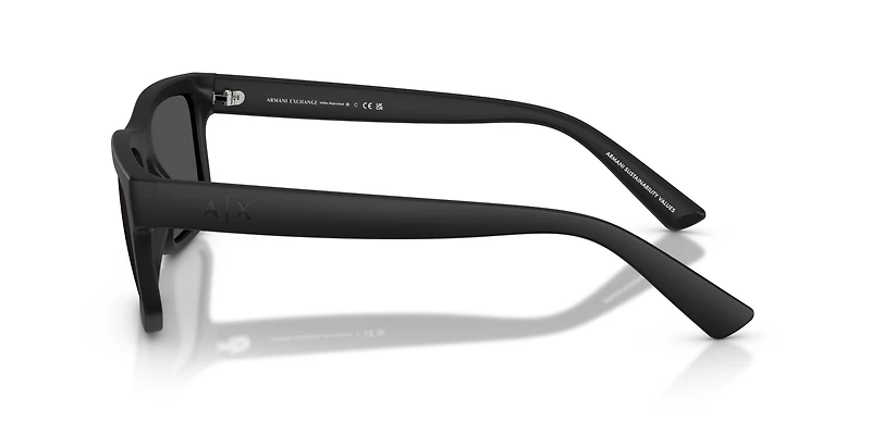 AX4165S