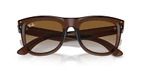 Wayfarer Reverse