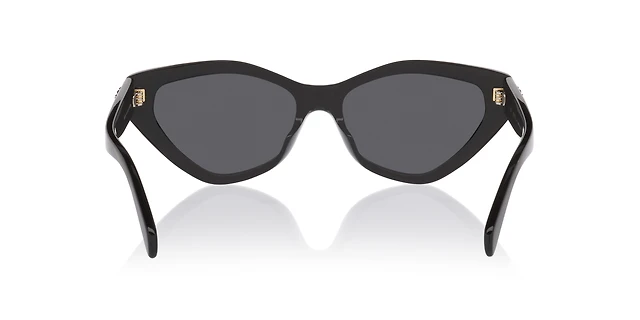 Celine Triomphe CL40323U